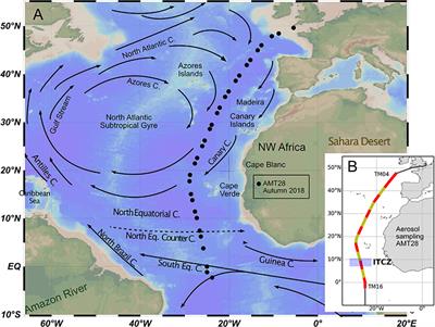 Response of coccolithophore communities to oceanographic and atmospheric processes across the North- and Equatorial Atlantic